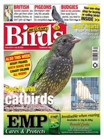 Cage & Aviary Birds